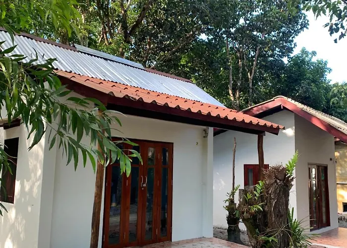 Frog Beach House